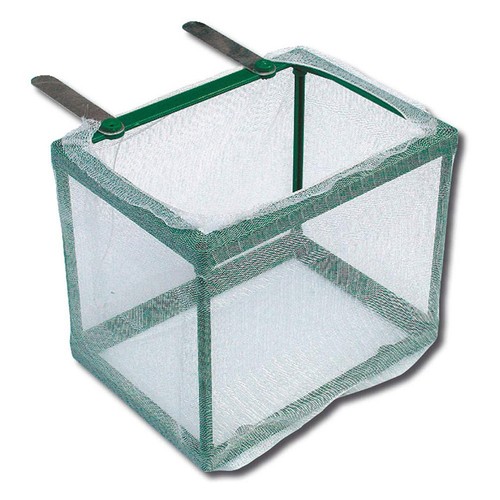 Wave sala parto nursery per - , la