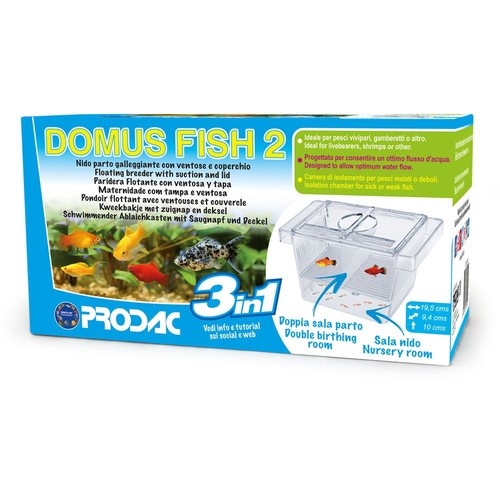 Prodac domus fish - fish, 2